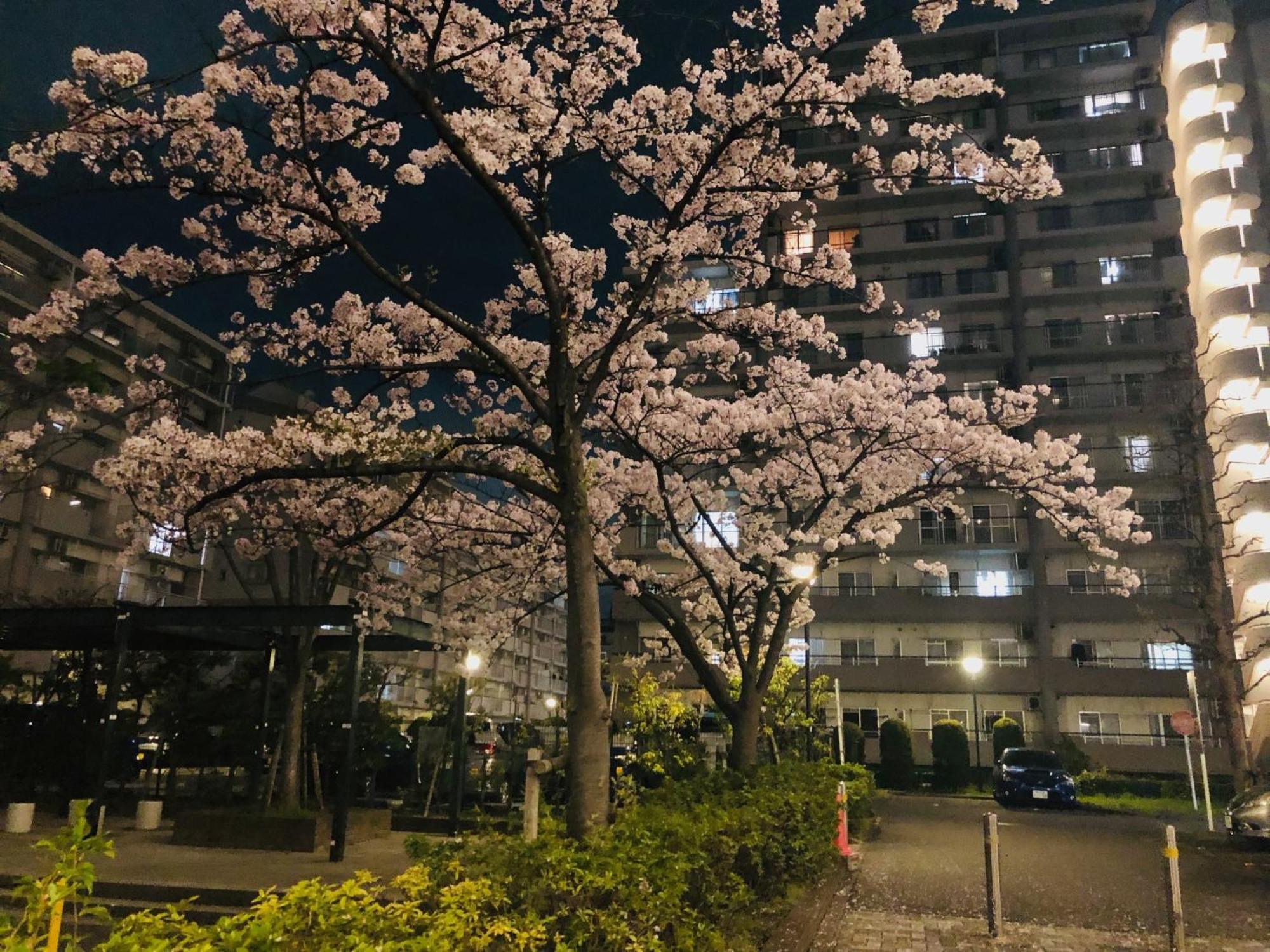 Jl 東京 House - 駐車場付き築浅のまるごと貸切住宅 * Tōkyō
